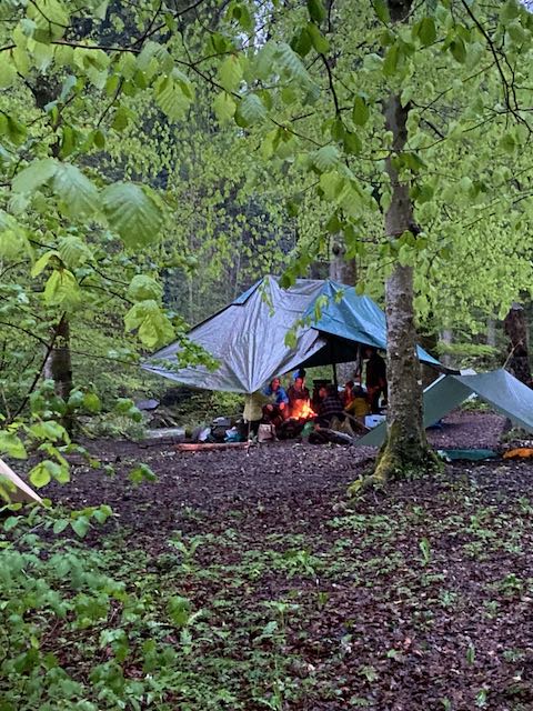 Gruppencamp im Wald